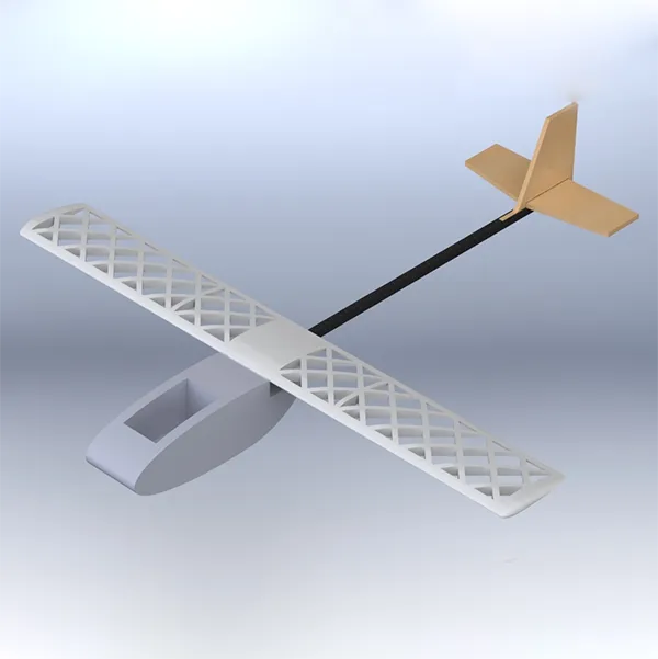 Glider with Data Recorder and 3D Printed Wing